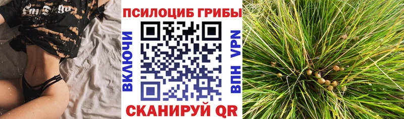 Псилоцибиновые грибы ЛСД  Купить закладки  Малоархангельск 